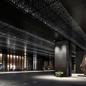Hotel Park Hyatt *****